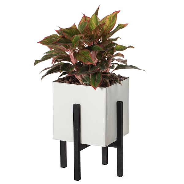 Vintiquewise Indoor and Outdoor White Iron Planting Box with Black Wooden Frame, Large Planter QI004170.L - main